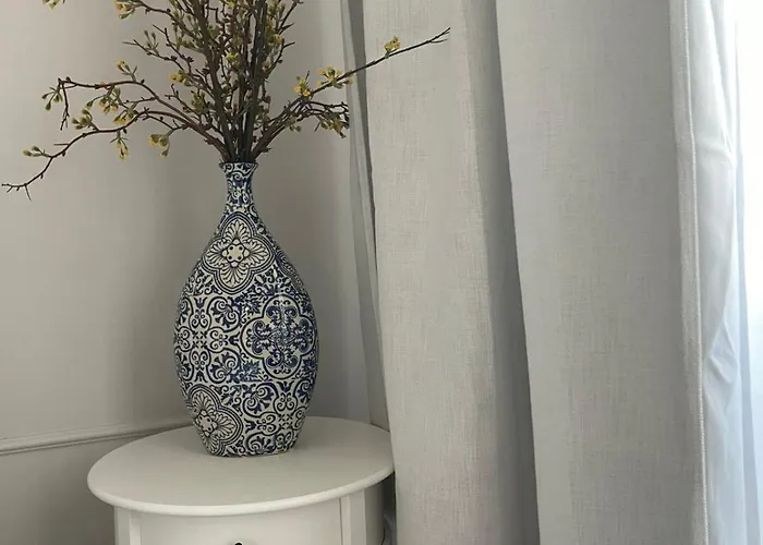 Magnoliya 布尔加斯