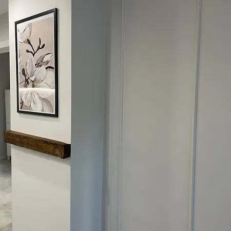 Magnoliya بورغاس