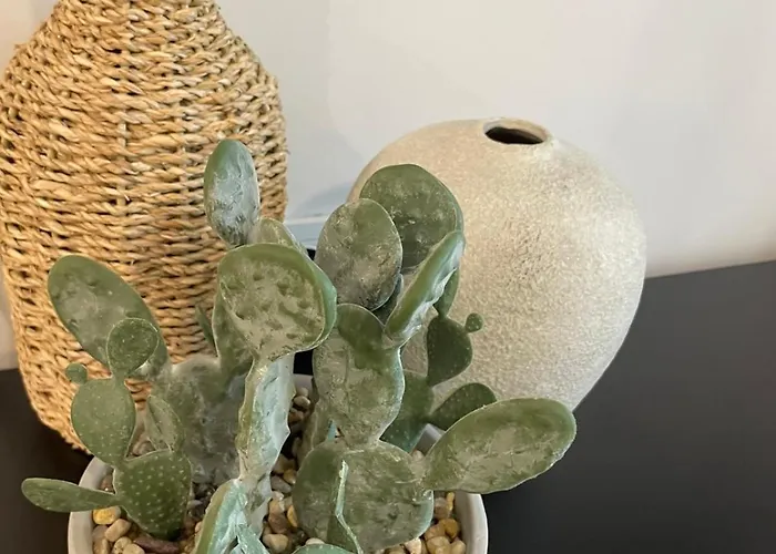 Apartamento Magnoliya *